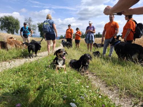 Hundewandertag Sommer 2025